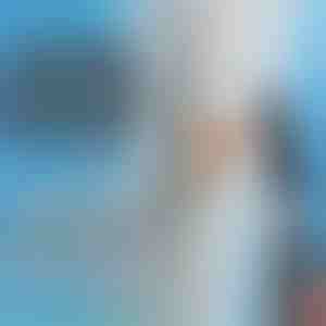 Autodeur Beschermer (4st) | IMPACTIKO