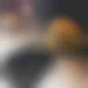 Hamburgerpers | BURGIPRESS