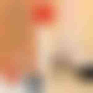 Stijlvolle bandjes voor hoge hakken (4 stuks) | LUXSTRAP