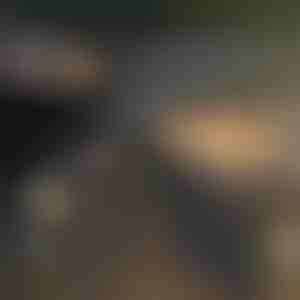 Auto-interieurborstel (2 stuks) | AUTOBRUSH