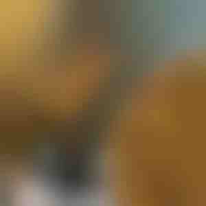 Verlichte Takken | BRANCHLUMOS