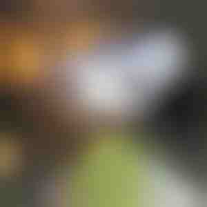 Zonnescherm met bewegingssensor | LUMACAM