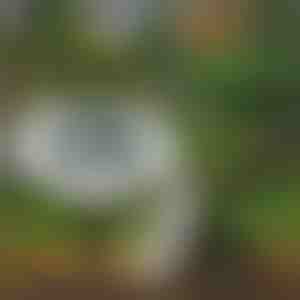 Zonnevloerlampen voor buitengebruik (3 stuks) | LUMIGARD