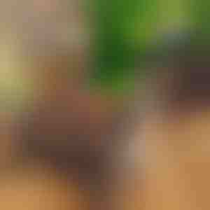 Compact draagbare opvouwbare grill | PORTOGRILL