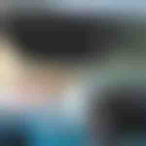 Autovoorruit zonnescherm paraplu | SHADESHELLA