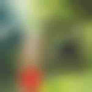 Draagbare douche | SHOWDY