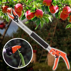Boomsnoeischaar en oogstgereedschap (2 in 1) | TREESNIP