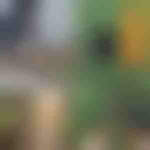 Draagbare zaag met handgrepen | TREKSAW