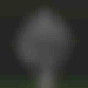 Kinetische windmolen met magische tuin | WINDARA