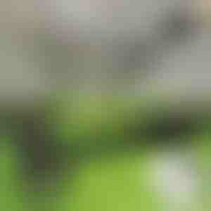 Staande onkruidverwijderaar | RUNCO