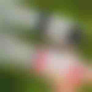 69-gats LED bellenblaaspistool | BUBBLEPUFF