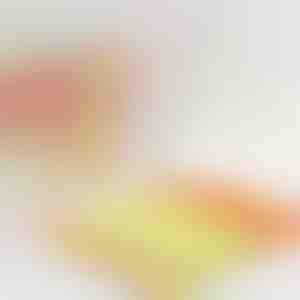 Rolgordijnreiniger die de tijd halveert | BLINDY