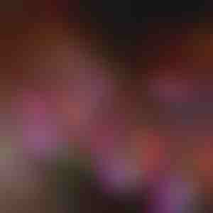 Zonnebloem tuinverlichting | BLOSSUN