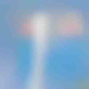 Ruitenreiniger | WINDCLEAN