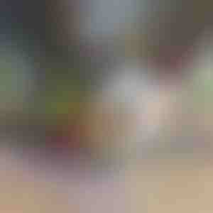 12 In 1 Groente Hakker & Snijmachine | CHOPMASTER