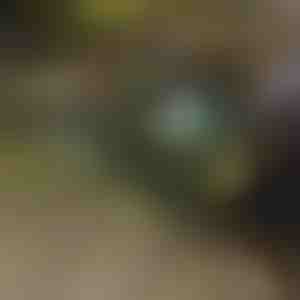 Opvouwbare kruiwagen | TROLLYFOLD