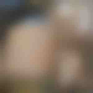 3D Imitatiesteen Behang (10 stuks) | STONEBLOCKS