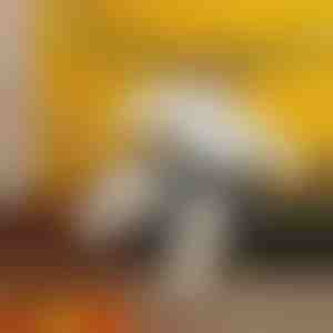 Opblaasbaar sumokostuum | SUMOCOS