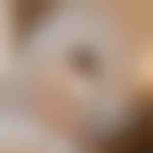 Muggenslaaptent die u beschermt | BUGISTOP