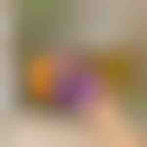 Koelkastorganizer met automatische glijfunctie | DRINZER