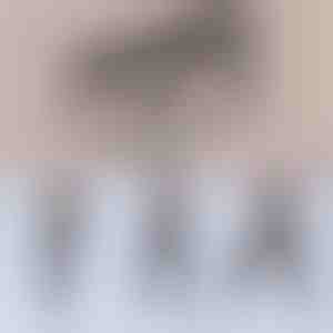 Multifunctionele pilates bar | TONEBAR