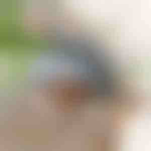 Interactief klapperende vogelspeeltje | CHIRRCAT