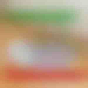 Hergebruikbare lekvrije puppypads | PAWSORB