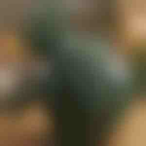 Verwarmd shiatsu-massagekussen | MASSORA