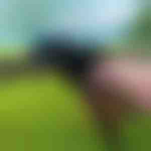 Heavy-duty kabelbindertang | ZIPFLEX